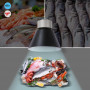 Campana LED 36W per pesce e frutti di mare - Driver KeGu