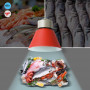 Campana LED 36W per pesce e frutti di mare - Driver KeGu