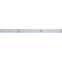 Striscia LED 48V DC - Monocolore - 12W/m - 10mm - IP20 - 10 metri - 120LED/m