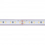 Striscia LED 24V DC a tenuta stagna - monocolore - 9,6W/m - 10mm - IP68 - 5 metri - 120LED/m