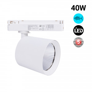 Faretto a binario LED monofase da 40W - Pesce e frutti di mare