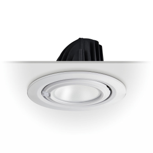 48W ronde LED inbouwdownlight, kantelbaar