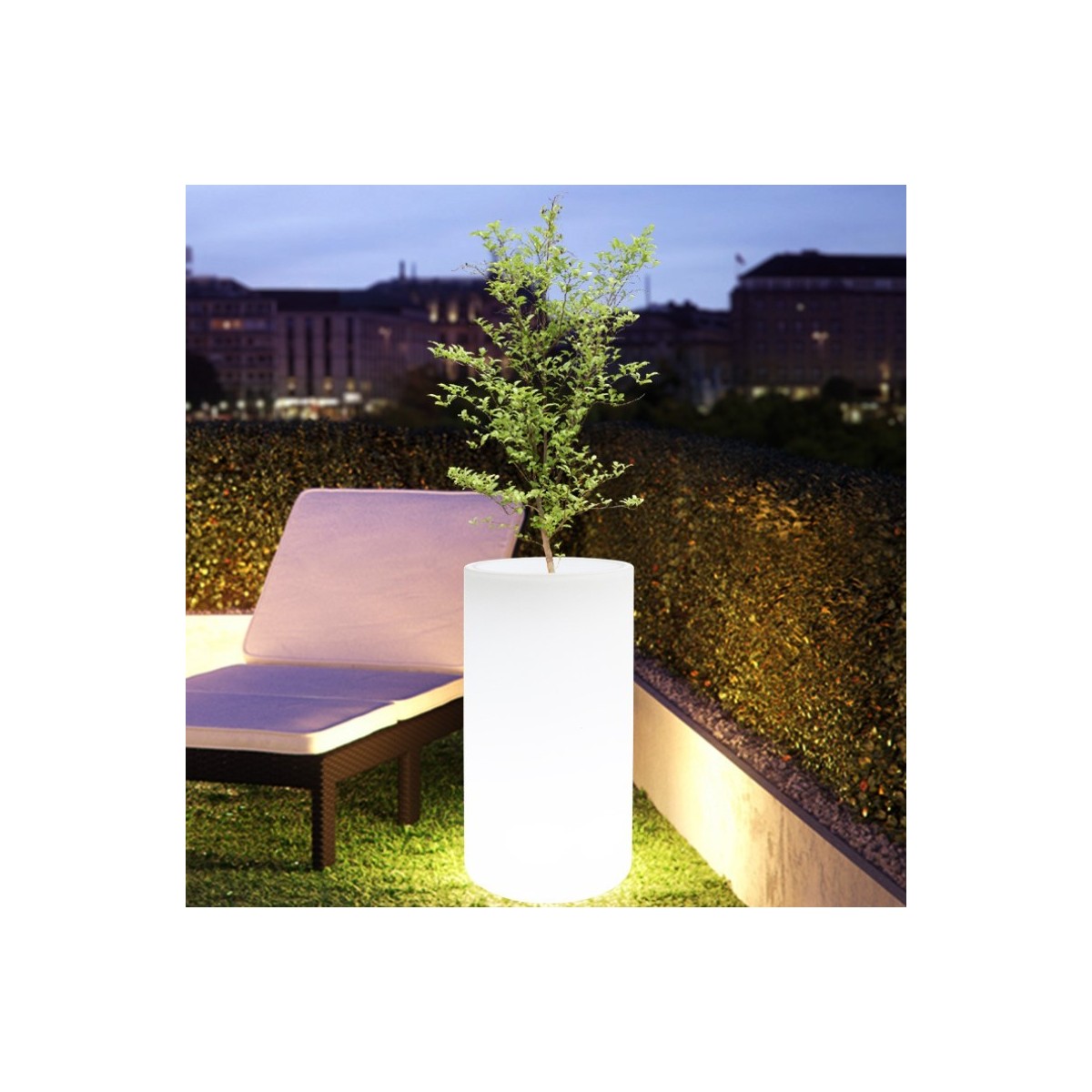 RGBW LED plantenbak