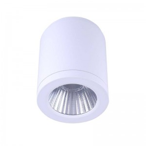 CCT "GESS" plafondlamp COB 25W IP54