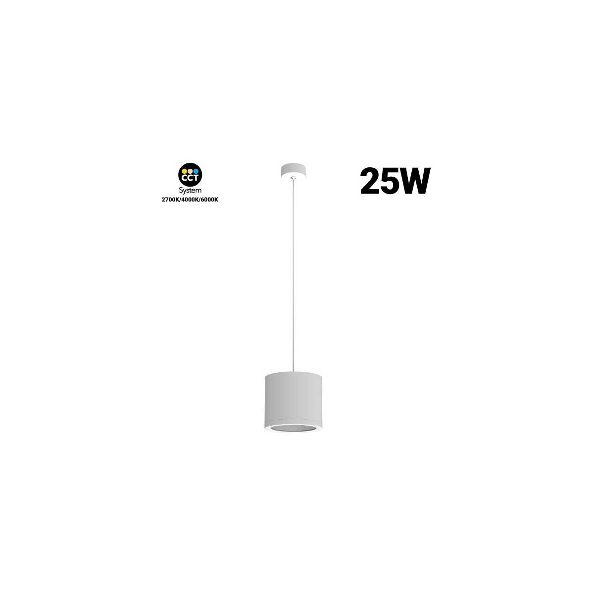 hanglampen 25W