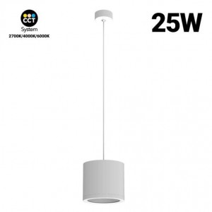 hanglampen 25W