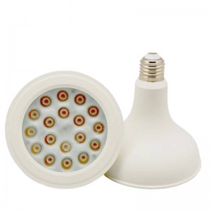 PAR38 LED lampen