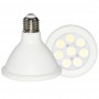 LED PAR38 15W lampen