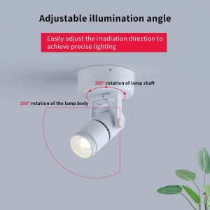 verstelbare plafondlampen