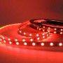 LED Strip 5M, 12V-DC, 72W, IP20, SMD 5050, Monokleur