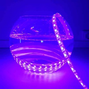 24V-DC 72W RGB Geplastificeerde LED Strip IP67