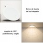 LED Downlights DOB