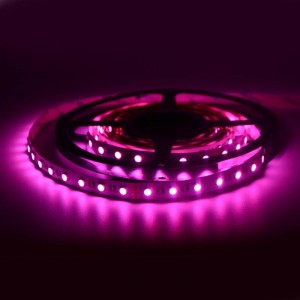 24V-DC LED Strip RGBWW 72W IP20 5ml Spoel