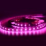 LED Strip 24V-DC RGBW 72W IP20 5ml Spoel