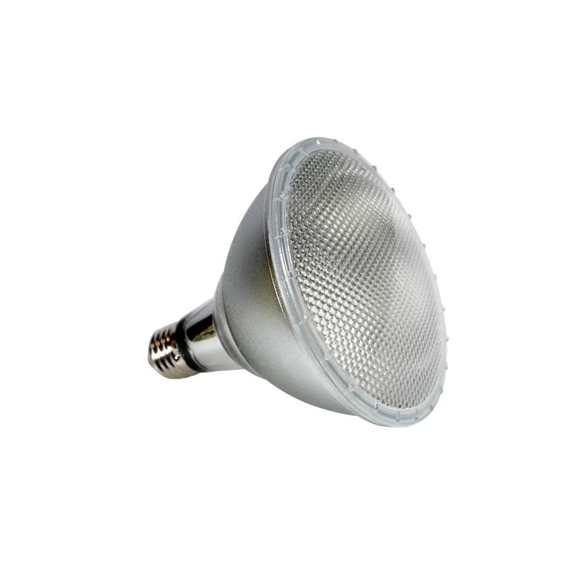 LED PAR38 E27 12W IP65 lamp