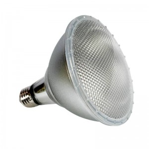 LED PAR38 E27 12W IP65 lamp