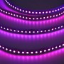 LED Strip 24V 24W, 600 SMD3030, 5M, IP20, 12mm - Hoge Helderheid