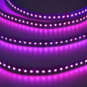 LED Strip 24V 24W, 600 SMD3030, 5M, IP20, 12mm - Hoge Helderheid