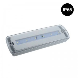 Waterdichte LED noodverlichting IP65 3W 3 uur autonomie