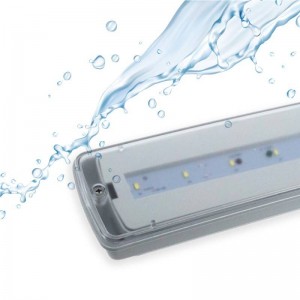 Waterdichte LED noodverlichting IP65 3W 3 uur autonomie