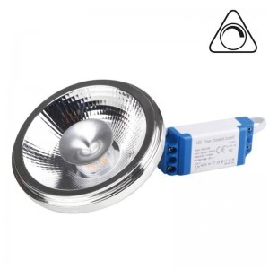 LED lamp AR111 12W 960lm dimbaar - externe driver