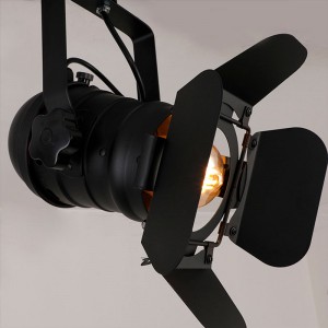 Set Plafond- of wandlamp "CINEMA" met LED-lamp PAR30 E27