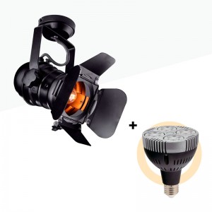 Set Plafond- of wandlamp "CINEMA" met LED-lamp PAR30 E27