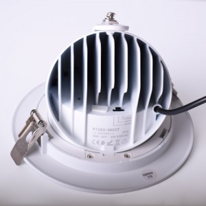 Inbouwspot LED rond richtbaar - CCT - 38W - Wit - 120° LIFUD driver