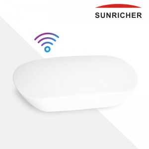 Sunricher WIFI naar RF converter - Perfect RF serie