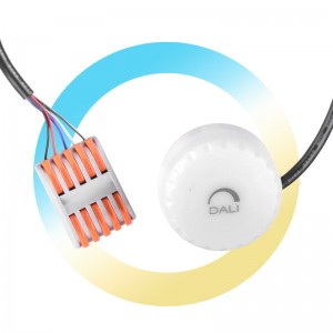 Dali sensor voor LED klokken B8137