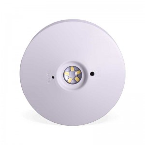 Opbouw- of inbouw-LED-noodverlichting 120lm 3W 3 uur IP20