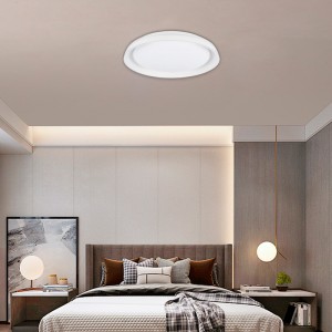 SMART LED plafondlamp - RGBCW WIFI opbouw 30W - IP20