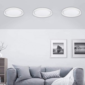 SMART LED plafondlamp - RGBCW WIFI opbouw 30W - IP20