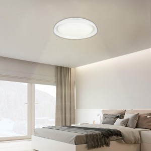 SMART LED plafondlamp - RGBCW WIFI opbouw 30W - IP20