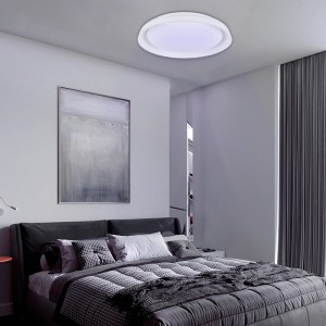 SMART LED plafondlamp - RGBCW WIFI opbouw 30W - IP20