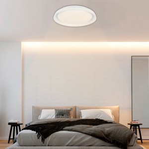 SMART LED plafondlamp - RGBCW WIFI opbouw 30W - IP20