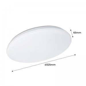 LED BASIC 24W ronde plafondopbouwlamp IP20