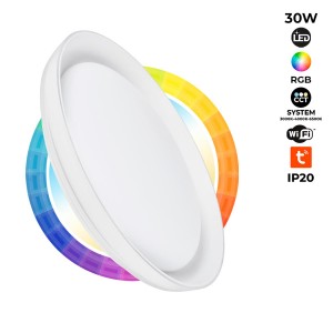 SMART LED plafondlamp - RGBCW WIFI opbouw 30W - IP20