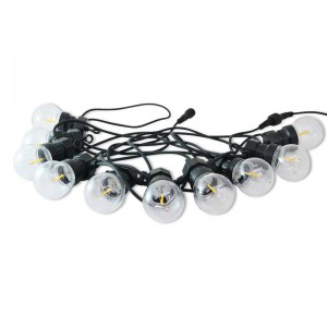 LED slinger voor buiten met 10 lampjes 8 meter