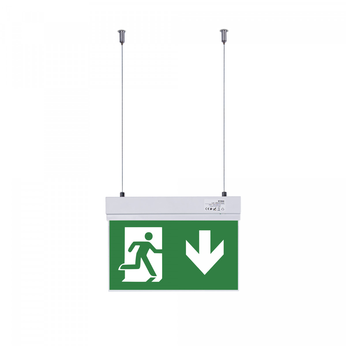 Geveerde noodverlichting met pictogram "Exit down".