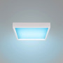 Blue Skylight" hemeleffectpaneel - Daglicht - Dimbaar 0-10V - 155W - 60x60cm