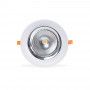 LED inbouwspot voor groentewinkels - 44W - Philips driver - Zaagmaat Ø210 mm