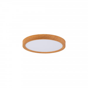 CCT 24W ronde LED plafondspot - IP40 - CCT