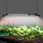 LED kweeklamp - 250W - Dimbare intensiteit - GROW Light Full