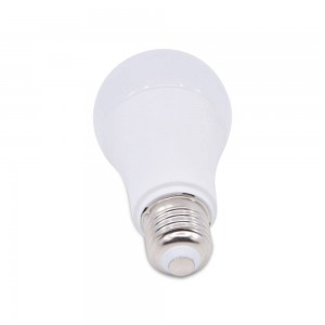 10-36v E27 lamp voor caravans