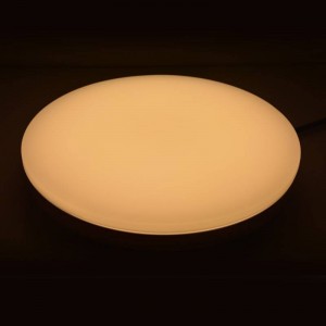 36W Ronde LED Opbouw Plafondlamp