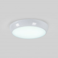 LED waterdichte plafonnière/noodverlichting - CCT - Regelbaar vermogen 12W-16W - Ø31cm - IP65