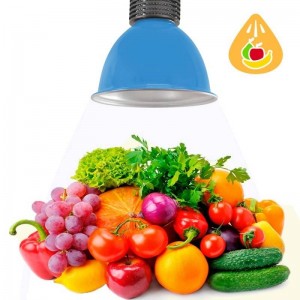 Rode 30W LED-belspecial voor fruit en groenten