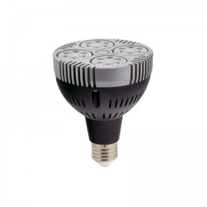 LED PAR30 E27 lamp