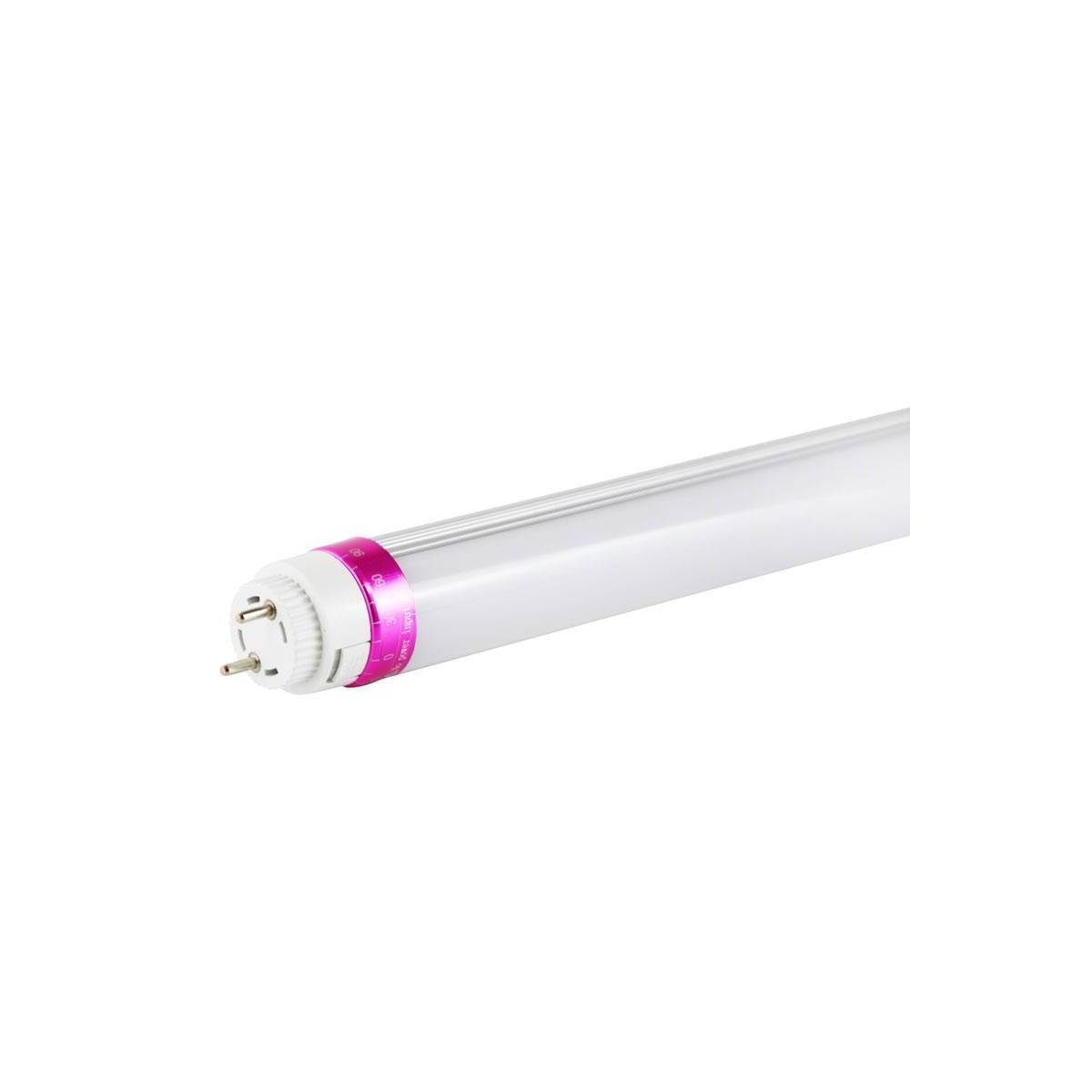 LED T8 buis speciaal Delicatessen 10W 600mm